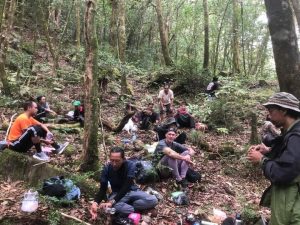 Team Gabungan berbagai elemen melakukan pencarian WNA Francis yang hilang di Gunung Batukaru - Tabanan