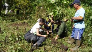 Kolaborasi Internasional Tanam 1000 Pohon di Tamblingan, Jaga Sumber Daya Air Bali