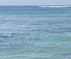 ITDC- POLAIRUD GELAR MONITORING PASCA KEMUNCULAN HIU, PASTIKAN KONDISI AMAN DAN KONDUSIF BAGI WISATAWAN